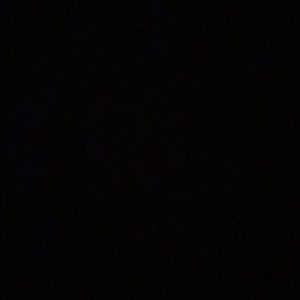 Meet your Posher, Aniah